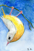 Bird #3