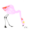 Flamingo