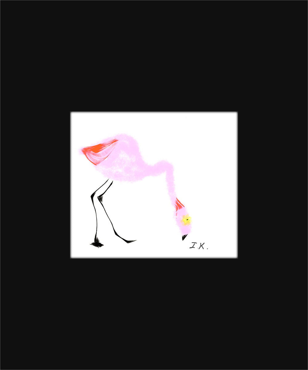 Flamingo