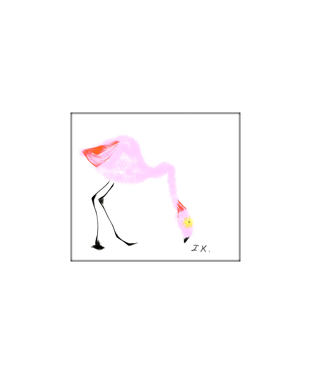 Flamingo