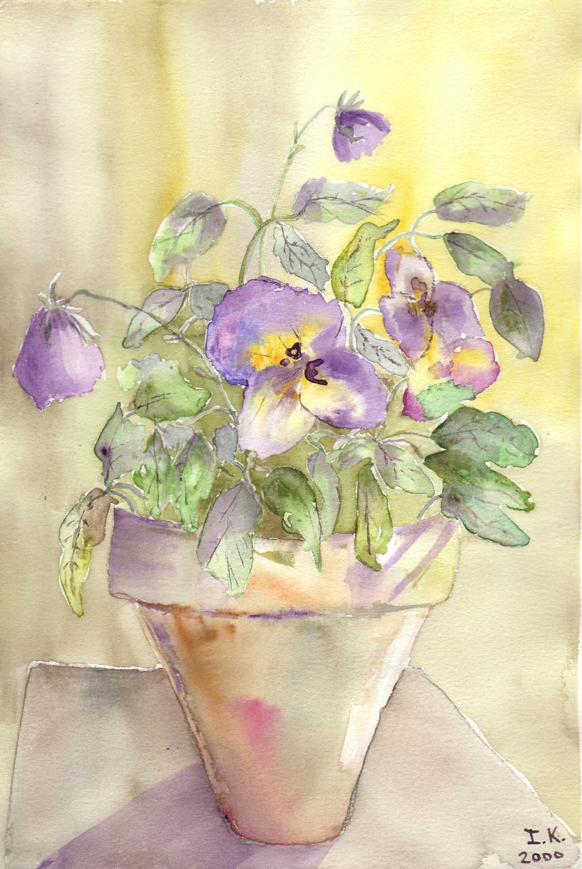 Flower Pot