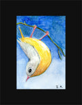 Bird #3