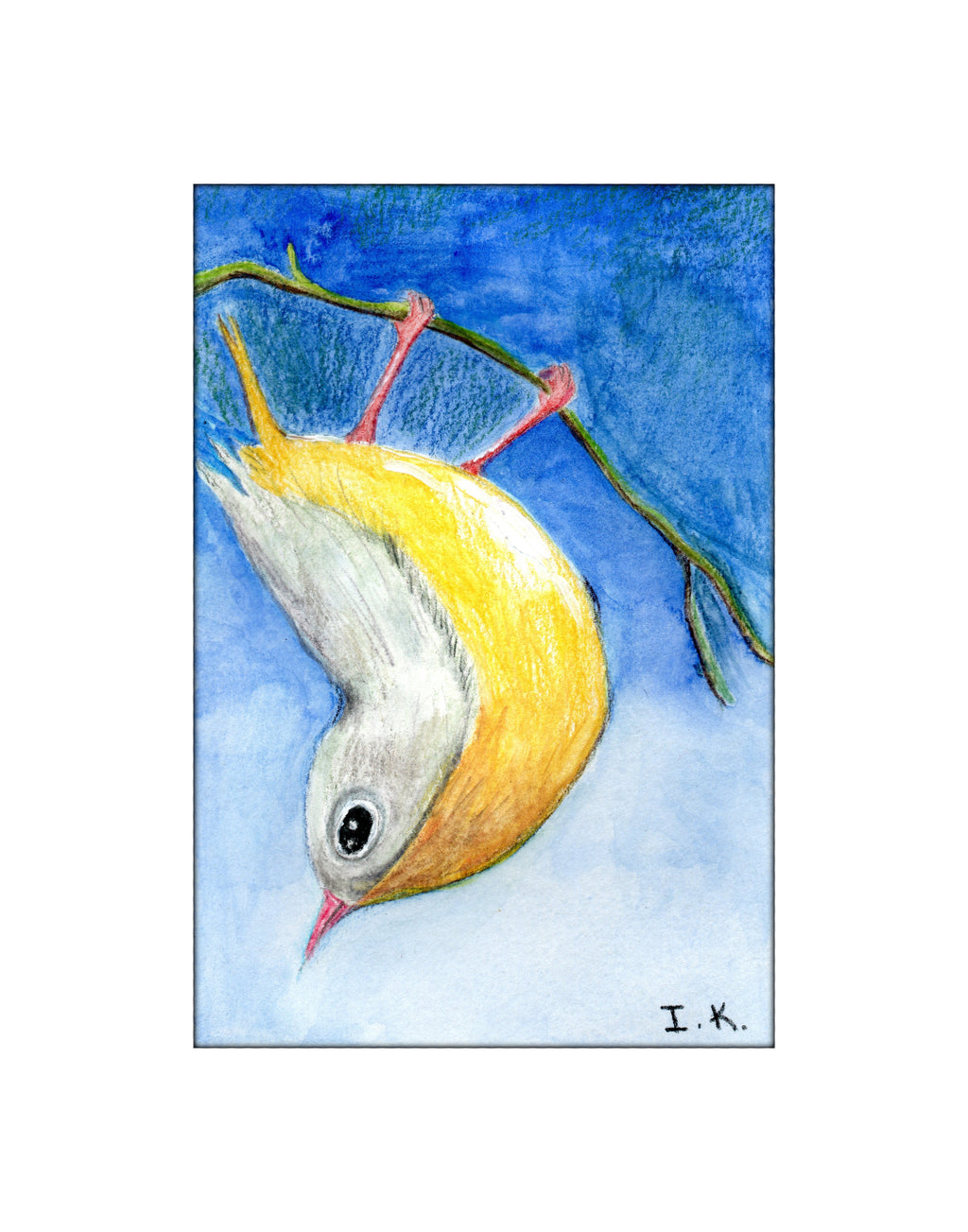 Bird #3
